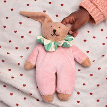 Load image into Gallery viewer, Circus rabbit - Hanni
