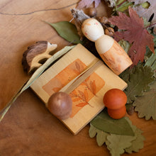 Load image into Gallery viewer, Hello Autumn!
