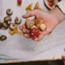 Load image into Gallery viewer, Mushroom Grove
