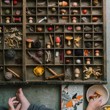 Load image into Gallery viewer, Mushroom Grove
