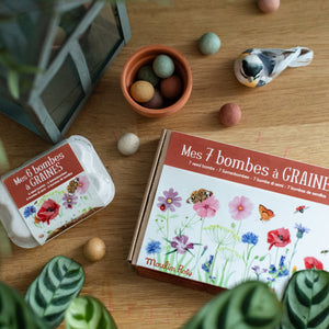 Set of 6 seed bombs in egg box