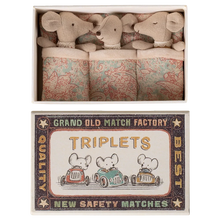 Load image into Gallery viewer, Triplets, Baby mice in matchbox - Checker
