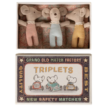 Load image into Gallery viewer, Triplets, Baby mice in matchbox - Checker
