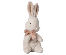 Load image into Gallery viewer, My first bunny - Powder

