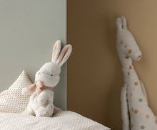 Load image into Gallery viewer, My first bunny - Powder
