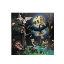 Load image into Gallery viewer, Bird discovery box
