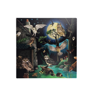 Bird discovery box