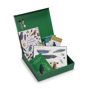 Bird discovery box
