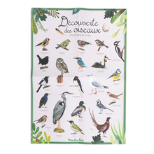 Load image into Gallery viewer, Bird discovery box
