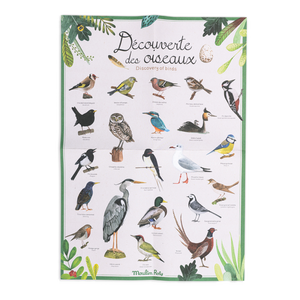 Bird discovery box