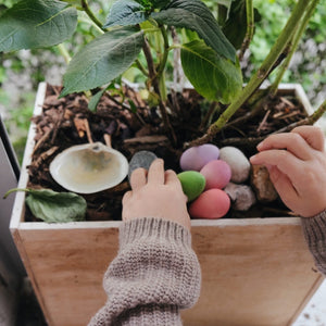 Happy Eggs