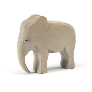 Αρσενικός ελέφαντας