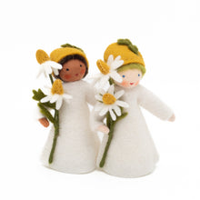 Load image into Gallery viewer, Camomile Flower Fairies
