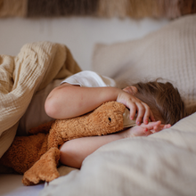 Load image into Gallery viewer, Cuddly animal Goose small, rust
