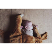 Load image into Gallery viewer, Cuddly animal Goose small, rust
