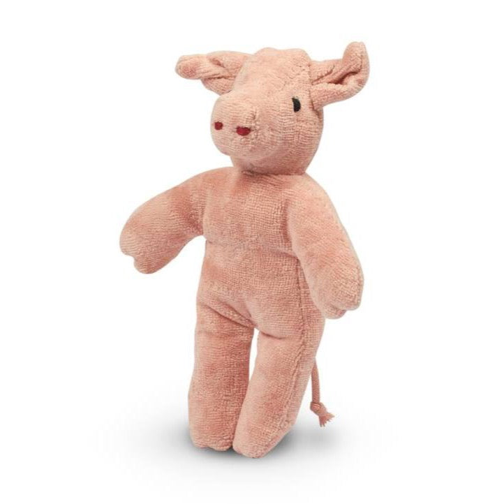 Animal Baby Pig