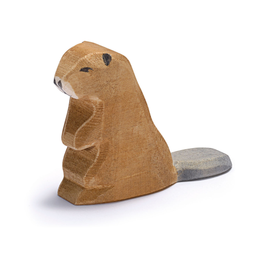 Beaver sitting