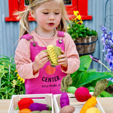 Load image into Gallery viewer, Felt Vegetables and Fruits Play Set
