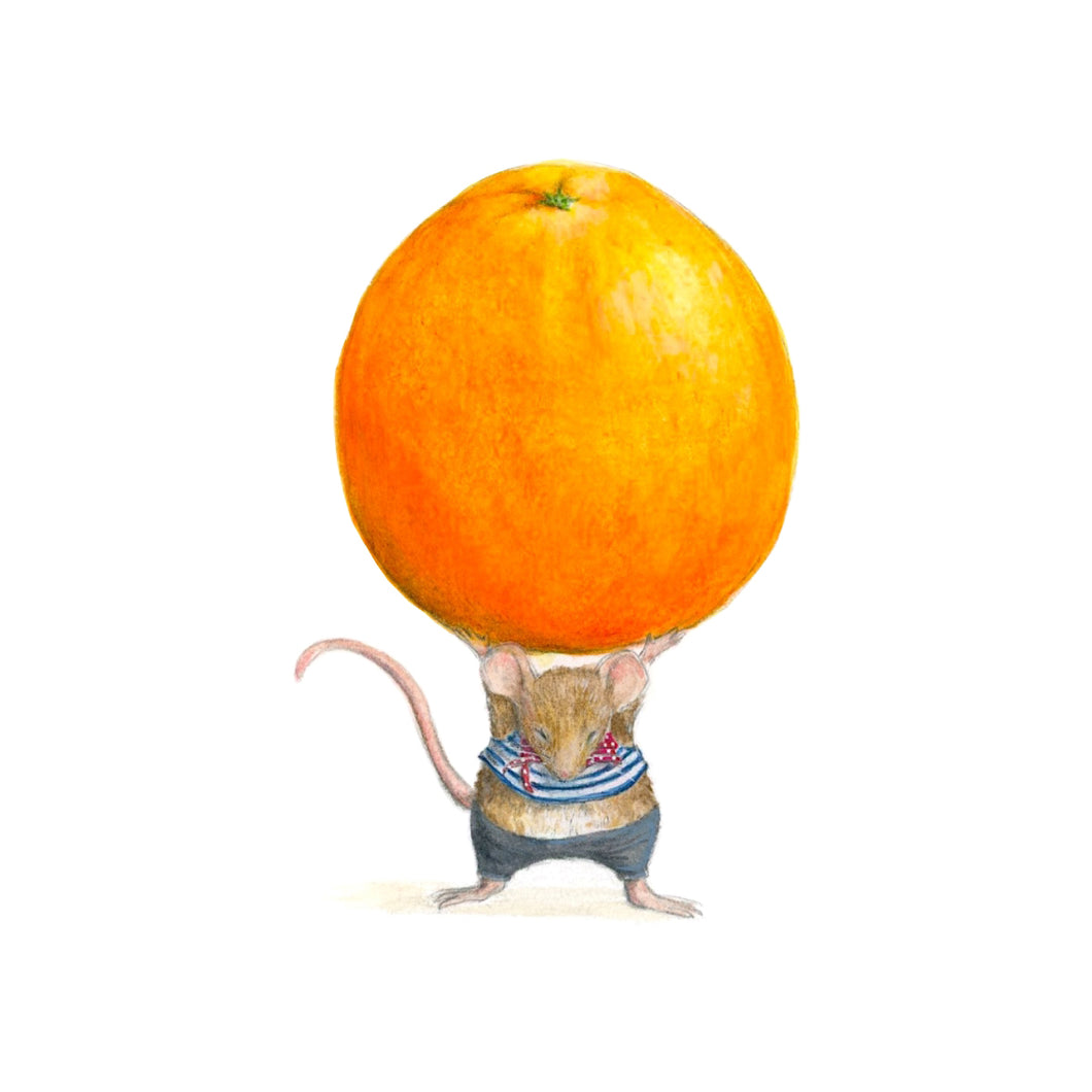 Orange Mouse