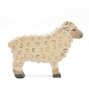 Sheep, standing