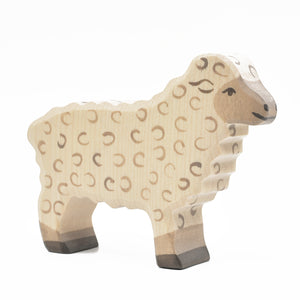 Sheep, standing