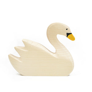 Swan, swimming