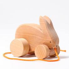 Load image into Gallery viewer, Bobbing Rabbit Hans
