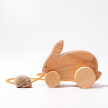 Load image into Gallery viewer, Bobbing Rabbit Hans
