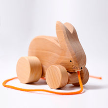 Load image into Gallery viewer, Bobbing Rabbit Hans
