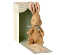 Load image into Gallery viewer, My First Bunny in Box, Light blue
