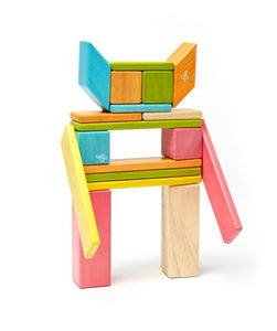 Magnetic Wooden Blocks, 24-Piece Set