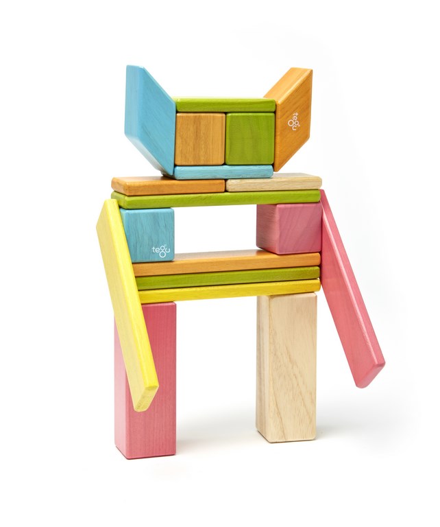 Magnetic Wooden Blocks, 24-Piece Set