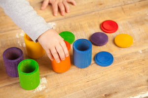 6 cups with lid in colour