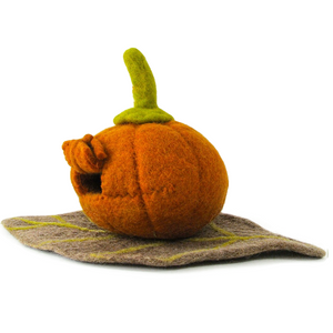 Pumpkin house and Mat