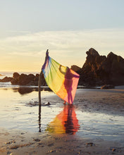 Load image into Gallery viewer, Cotton Blossom Cloth - Rainbow
