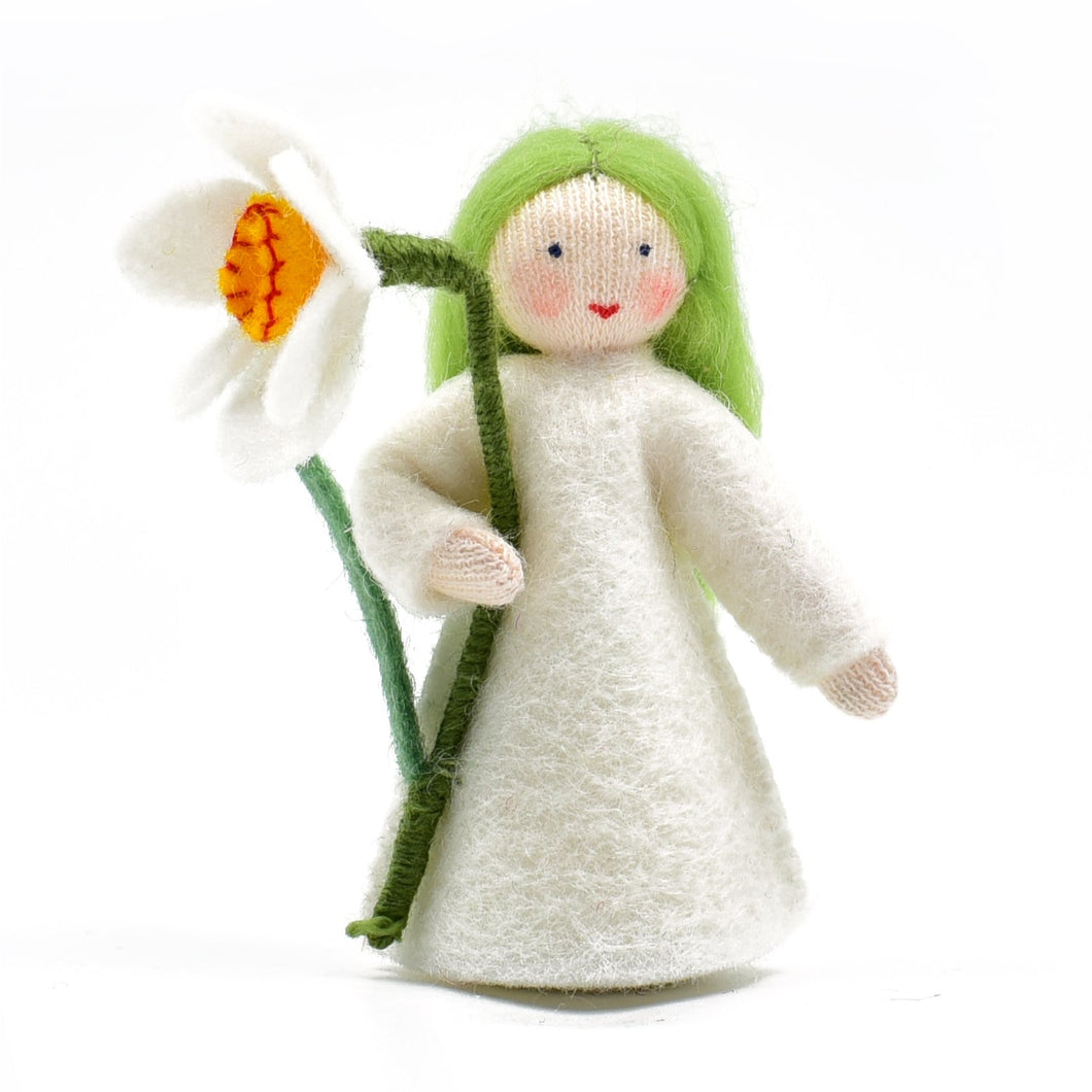 White daffodil Flower Fairy