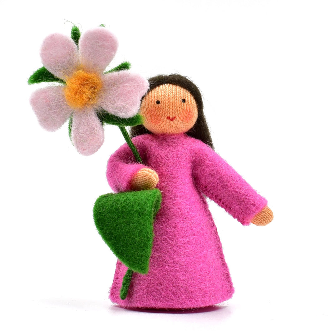 Sweet briar Flower Fairy