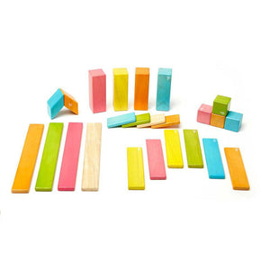 Magnetic Wooden Blocks, 24-Piece Set