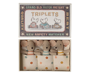 Baby mice, triplets in matchbox